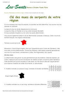 Cl&eacute; des mues de serpents de votre r&eacute;gion | Identification des peaux de serpents