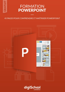 Comprendre et Ma&icirc;triser POWERPOINT