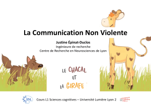 La Communication Non Violente : Cours L1 Sciences Cognitives (OSBD)